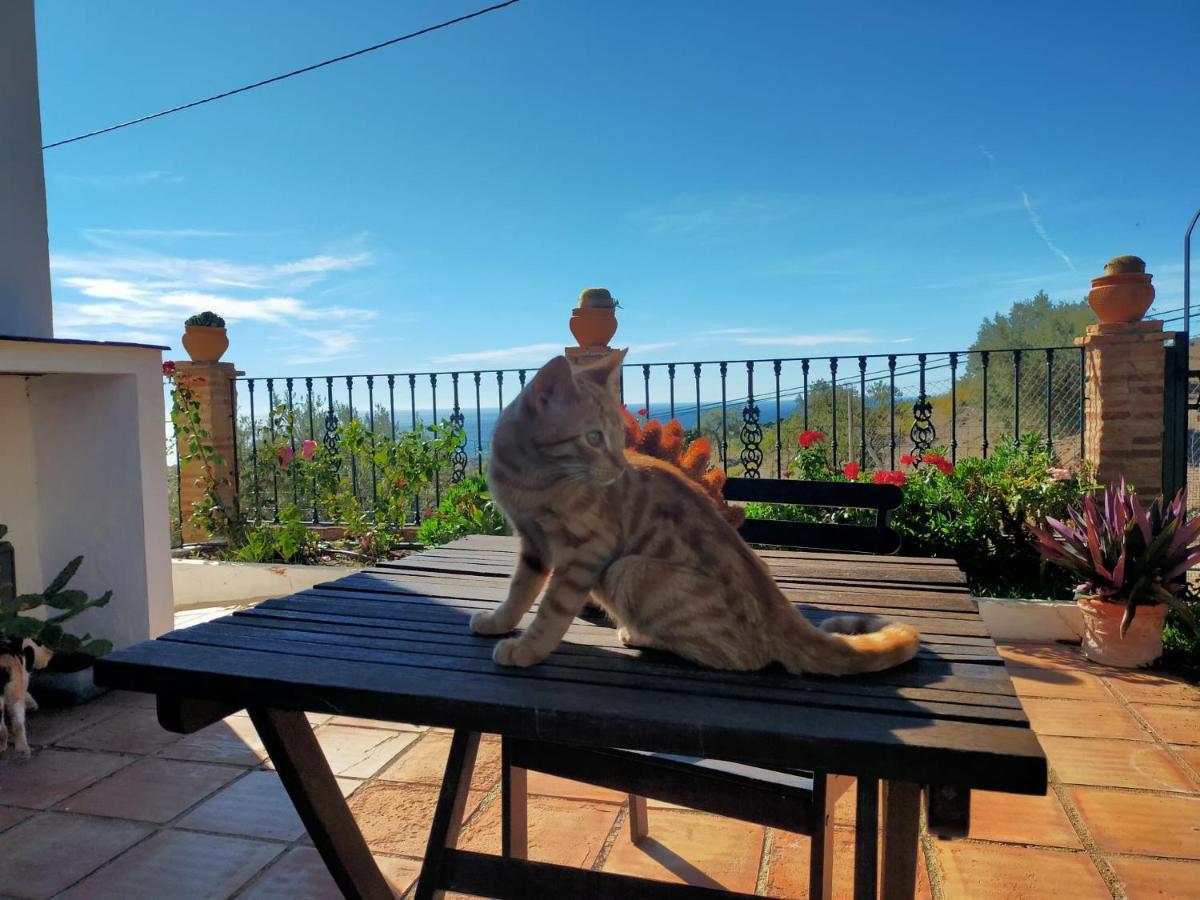 Paraje El Pozo Málaga Exteriör bild