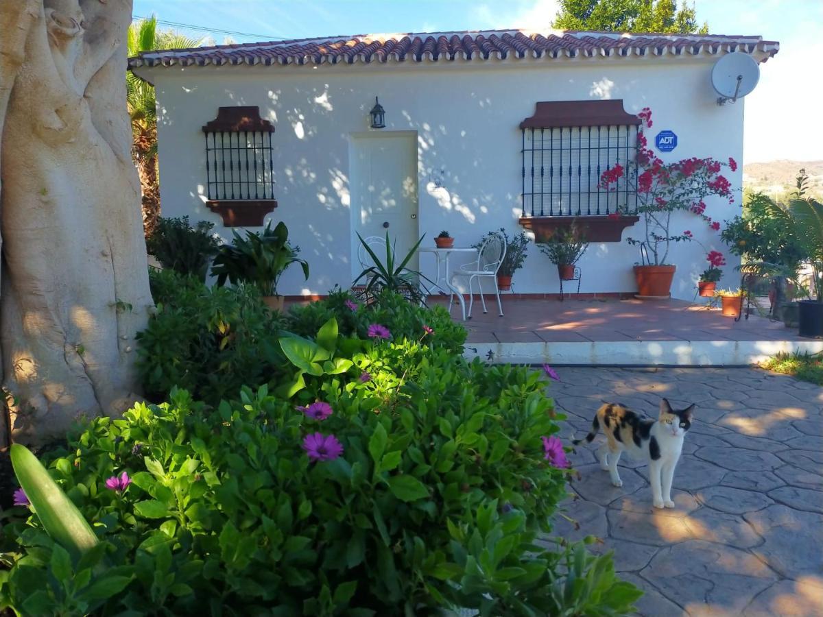 Paraje El Pozo Málaga Exteriör bild