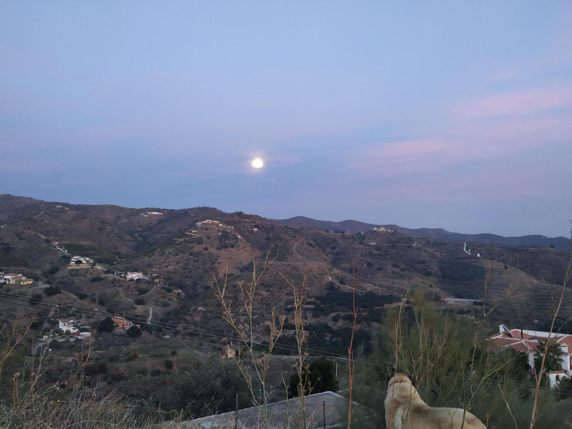 Paraje El Pozo Málaga Exteriör bild