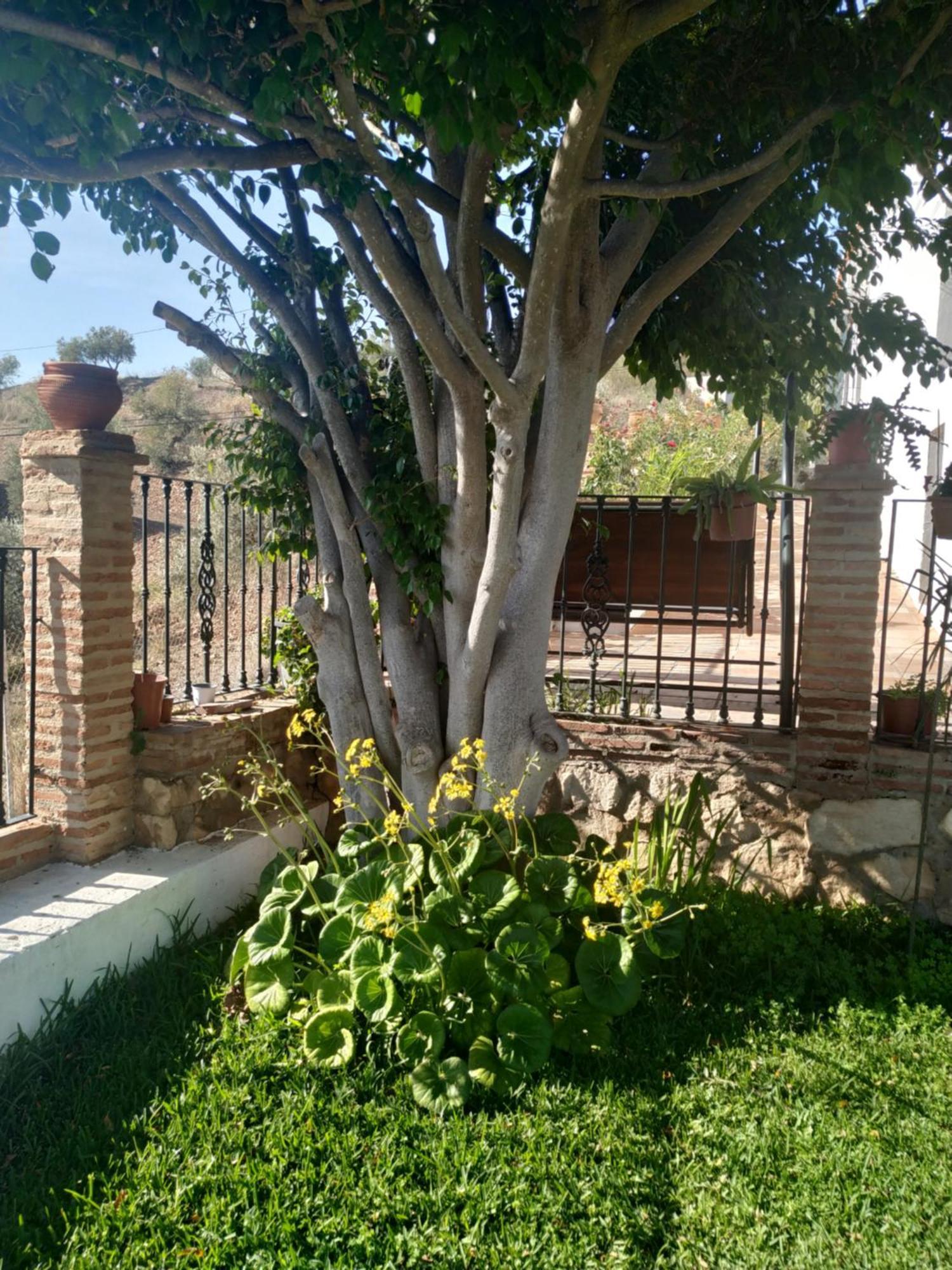 Paraje El Pozo Málaga Exteriör bild