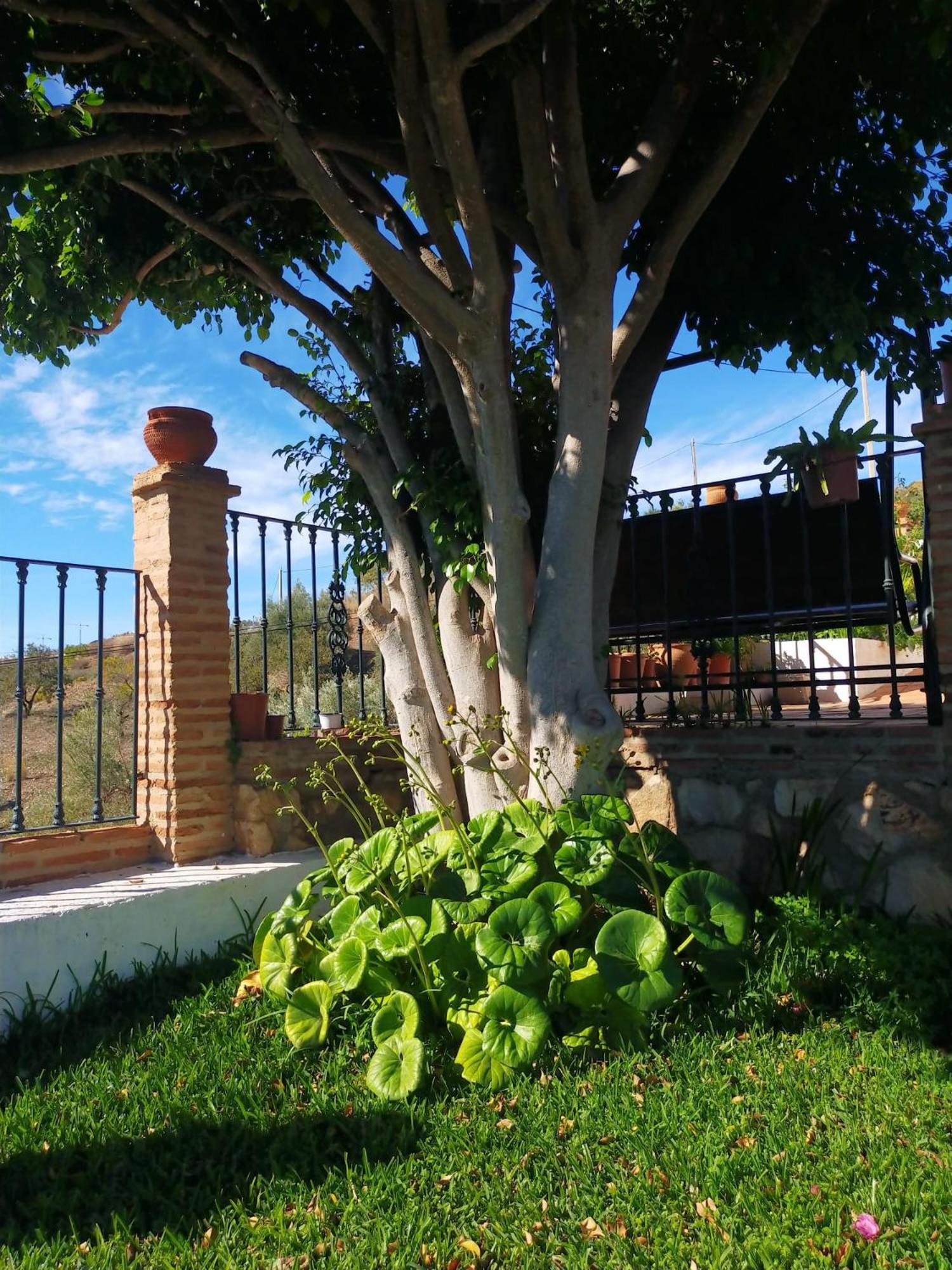 Paraje El Pozo Málaga Exteriör bild